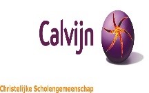 calvijn