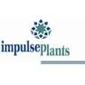 impulse